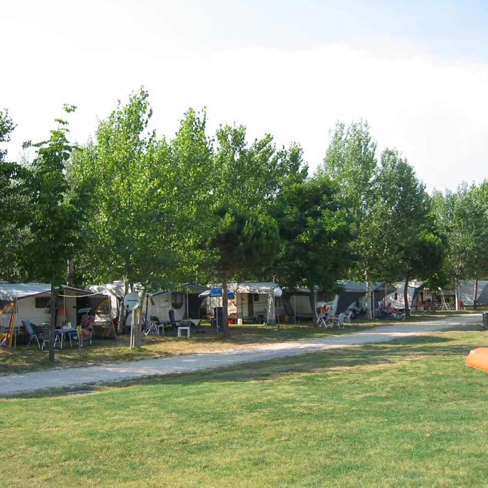 Piazzole e parco verde Badiaccia Camping Village